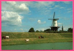 Fraai Landschap Met Molen Bij Veere - Molen - Moulin - Kijk Op Het Groene Nederland - Foto KEES SCHERER - Veere