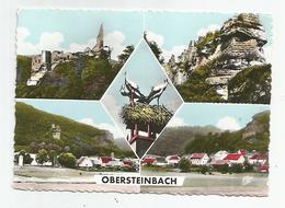 67 Bas Rhin - Obersteinbach Multi Vues Et Cigognes Nid , Cachet Lembach - Sonstige & Ohne Zuordnung