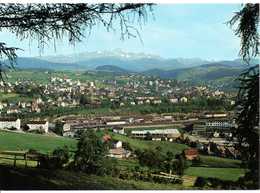 SUISSE -  HERISAU - Mit Säntis Format 15X10,5 - Herisau