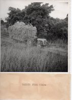 Photo Madagascar Années 1950,Moisson.Tirage Argentique Original Format 12/17. - Berufe