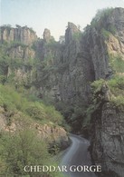 Postcard Cheddar Gorge The Pinnacles Somerset My Ref  B23545 - Cheddar