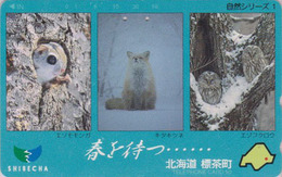 Télécarte Japon / 430-13443 - ANIMAL - Oiseau HIBOU RENARD & CHINCHILLA - OWL Bird FOX  Japan Phonecard - 4279 - Owls