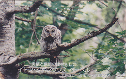 Télécarte Japon / 110-011 - ANIMAL - OISEAU - HIBOU CHOUETTE HULOTTE - OWL BIRD Japan Phonecard - EULE TK - 4283 - Eulenvögel
