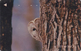 RARE Télécarte Japon / 110-011 - ANIMAL - OISEAU - HIBOU CHOUETTE 105 U - OWL BIRD Japan Phonecard - EULE TK - 4286 - Hiboux & Chouettes