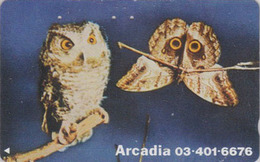 RARE Télécarte Japon / 110-011 - ANIMAL - OISEAU - HIBOU & PAPILLON - OWL BIRD & BUTTERFLY Japan Phonecard - 4289 - Eulenvögel