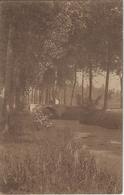Overmeire.   -   Lac D'Overmeire.   -   De Sloot: Canal Faisant Communiquer Le Lac Avec L'Escaut.  - 1921  Naar  Enghien - Berlare