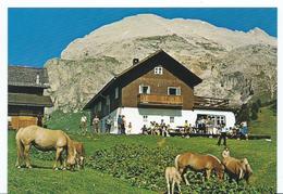 REFUGIO - REFUGE - FLÜSSIGKEIT - RIFUGIO ALPINO - " ZALLINGER ".- ( ITALIA ) - Alpinisme