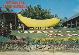 The Big Banana, Coffs Harbour - Coffs Harbour
