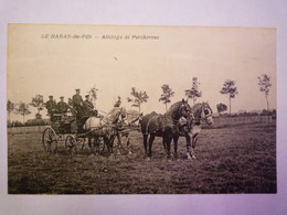 GP 2019 - 838  LE HARAS-du-PIN  (Orne)  :  ATTELAGE  De  PERCHERONS  -  TB Plan   1933   XXX - Otros & Sin Clasificación