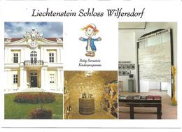 3004d: AK 2193 Wilfersdorf, Liechtenstein- Schloss, Ungelaufen - Mistelbach