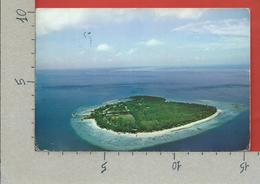 CARTOLINA VG MALDIVE - Male North Atoli - Villingili Resort - 10 X 15 - ANN. 1982 - Maldivas