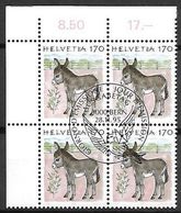 Schweiz Suisse 1995: Tiere Animaux Zu 868 Mi 1566 Esel Âne Donkey (Equus Asinus Asinus) Block Mit ET-o BERN 28.11.95 - Donkeys