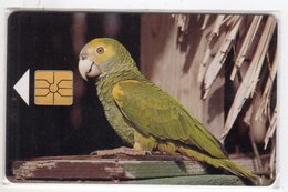 ANTILLES NEERLANDAISES BONNAIRE REF MV CARDS BON-10   PARROT - Antilles (Neérlandaises)