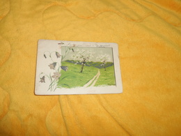 CARTE POSTALE ANCIENNE CIRCULEE DE 1903. / ILLUSTRATEUR MAILICK...PAYSAGE PRINTEMPS....CACHETS + TIMBRE - Mailick, Alfred