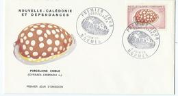 Enveloppe Nouvelle Caledonie 1970 - Cartas & Documentos
