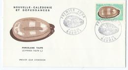 Enveloppe Nouvelle Caledonie 1970 - Brieven En Documenten