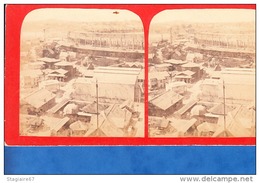 PARIS EXPOSITION  AGRICULTURE - Stereoscopic