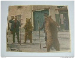 MONTREURS D OURS BILLOM 1905 PHOTO REHAUSSE MAGNIFIQUE TOP RARE - Mestieri