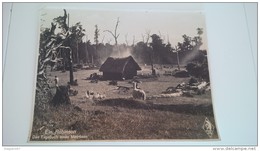 PHOTOGRAPHIE CINEMA EPOQUE SECONDE GUERRE CACHET SEC ALLEMAND EIN ROBINSON - Guerra, Militares