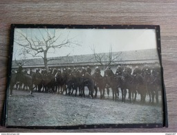 PHOTO GENDARMERIE GENDARME CAVALIERS LIEU A IDENTIFIER - Berufe