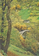 Bignasco - Valle Maggia Im Herbst            Ca. 1970 - Maggia