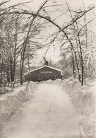 AK Thum Gaststätte Gasthof Waldfrieden Winter A Auerbach Ehrenfriedersdorf Gelenau Geyer Drebach Zwönitz Erzgebirge DDR - Thum