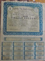 Certificat De 25 Francs Au Porteur Galicia Tin Maatschappij 1889 - G - I