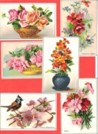 Lot 6 Chromos Bon Point Fleurs ,Mésange Et Pommier, Roses, Coquelicots, Giroflées, Oeillets - Other & Unclassified