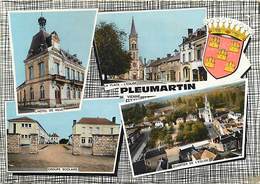 -gds Formats -ref-Y872- Vienne - Pleumartin - Souvenir De .. - Multi Vues - Carte Bon Etat - - Pleumartin