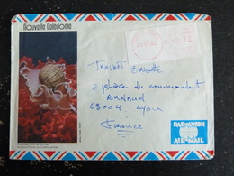 LETTRE NOUVELLE CALEDONIE AVEC VIGNETTE GUICHET NOUMEA RP - Covers & Documents