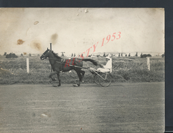 EQUITATION TUNISIE PHOTO 24X18 TUNIS SOUVENIR DE HASSAR SAÏD 1955 DE MAURICE BISMUTH CHAMPS DE COURSSE TROTTEUR RARE : - Reiten