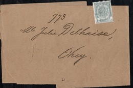 Bande Journal Affranchie Avec Un Timbre Préoblitéré Envoyée De Gand Vers Ohey En 1905 - Rollenmarken 1900-09