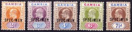König Edward Vier Werte+7 1/2 D Zahnmängel, Alle überdruckt Specimen - Gambia (...-1964)
