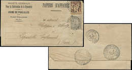 Let TYPE SAGE SUR LETTRES - N°85 Et 87 Obl. PORT VENDRES 1/2/00 Sur Papiers D'Affaires, TB - 1877-1920: Période Semi Moderne