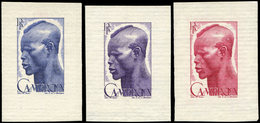 CAMEROUN Type U De 1946, 3 épreuves SANS La Valeur, TB - Other & Unclassified