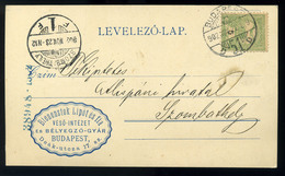 BUDAPEST 1902. Céges Levlap, Bienenstok Lipót és Fia Véső-intézet  /  Corp. P.card - Usati