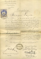 NAGYVÁRAD 1892. Bizonyítvány Singer Lujza Részére, Postamesteri Tanfolyam Elvégzéséről  /  Postmaster Diploma For Lujza  - Lettres & Documents
