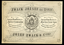 PEST 1873. Zwack József és Társa , Igen Korai Dekoratív Reklám Kártya 15*11 Cm  /  József Zwack  And Partner Early Decor - Zonder Classificatie