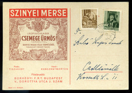 TISZAKÜRT 1943. Szinyei Merse Csemege ürmös Dekoratív Céges Reklám Levlap  /  Merse Szinyei Grocery Decorative Corp. Adv - Covers & Documents