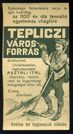SZÁMOLÓ CÉDULA  Régi Reklám Grafika , Tepliczi ásványvíz  /  BAR TAB Vintage Adv. Graphics,  Mineral Water - Unclassified