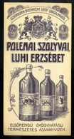 SZÁMOLÓ CÉDULA  Régi Reklám Grafika , Polenai Szolyvai ásványvíz  /  BAR TAB Vintage Adv. Graphics,  Mineral Water - Unclassified