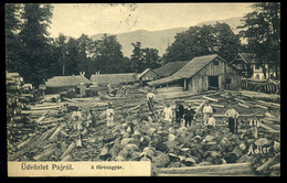 PUJ / Pui 1909. Fűrészgyár, Régi Képeslap  /  Saw Factory  Vintage Pic. P.card - Hongrie