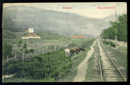 MENYHÁZAFÜRDŐ / Baile Moneasa  1917. Tájrészlet, Vasút, Régi Képeslap  /  Panorama Detail , Railway  Vintage Pic. P.card - Hongarije