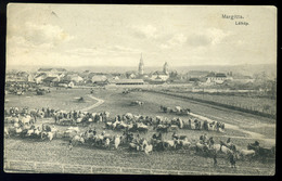 MARGITTA 1915. Látkép, Marhavásár, Régi Képeslap  /  Panorama  Cattle Market Vintage Pic. P.card - Hongrie