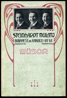 BUDAPEST Steinhardt Mulató , Dekoratív Programfüzet, Reklámokkal 1910-15. Cca.  /  Decorative Program Brochure, Adv. - Non Classés