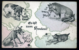 AUSZTRIA I.VH Propaganda Képeslap, Tábori Postával  /  AUSTRIA WW I. Propaganda Vintage Pic. P.card Via FPO - Other & Unclassified