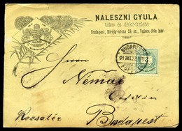 BUDAPEST 1891. Billiárd. Naleszni Gyula Teke és Dákó üzlete , Helyi Reklám Levél  /  Pool Store Local Adv. Letter - Oblitérés