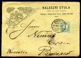 BUDAPEST 1891. Billiárd. Naleszni Gyula Teke és Dákó üzlete , Helyi Reklám Levél  /  Pool Store Local Adv. Letter - Usati
