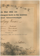 1902. Első Szabolcs Vármegyei Szőlő és Bor Kiállítás, Dekoratív Litografált Diploma, Szép állapotban (több Részben Szken - Unclassified