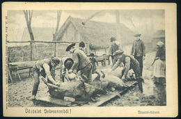 DEBRECEN 1930. Disznó ölés, Régi Képeslap  /  Pig Slaughtering   Vintage Pic. P.card - Hungría